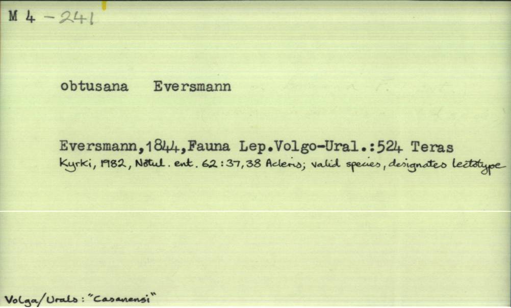 front of card